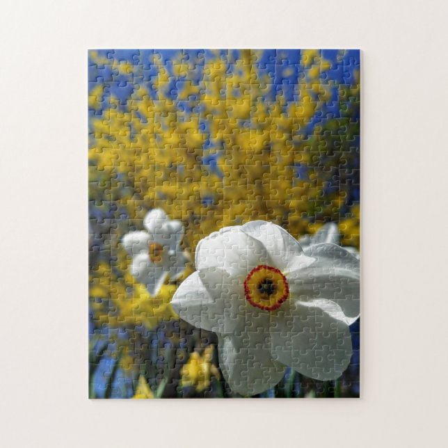 Kreativ, vit daffodil fotopussel (Vertikal)