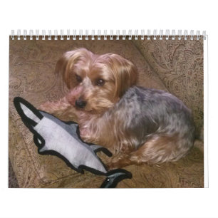 Kreativ Westie/Yorkie kalender för 12 månad