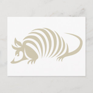 Kreativet Armadillo Illustration Vykort