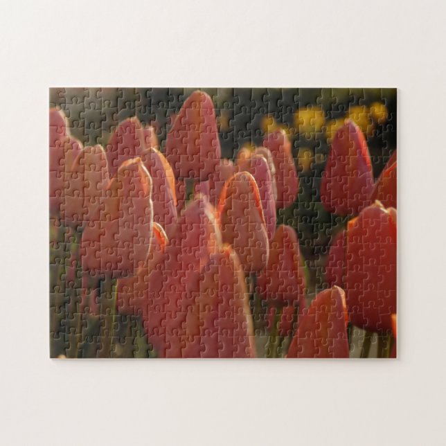 Kreativet Red Tulip Flowers Pussel (Horisontell)