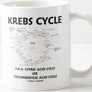 Krebs Cycle A.K.A. Citric Acid Cycle Tricarboxylic Kaffemugg