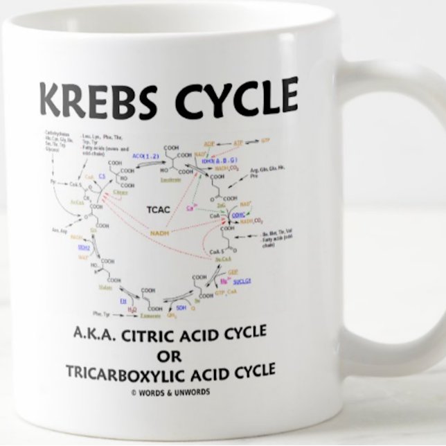 Krebs Cycle A.K.A. Citric Acid Cycle Tricarboxylic Kaffemugg (Biochemistry attitude mug for any Krebs cycle fan)