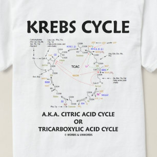 Krebs Cycle (Citric Acid Cycle - Biochemistry) T Shirt