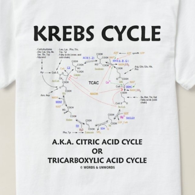 Krebs Cycle (Citric Acid Cycle - Biochemistry) T Shirt (Krebs cycle tee for those who know that it's one of the most important organic cycles for our energy)