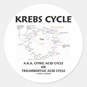 Krebs cyklar A.K.A. citronsyra cyklar Runt Klistermärke