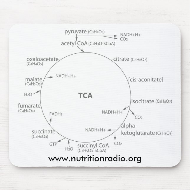 Krebs cyklar mousepad, www.nutritionradio.org musmatta (Framsidan)