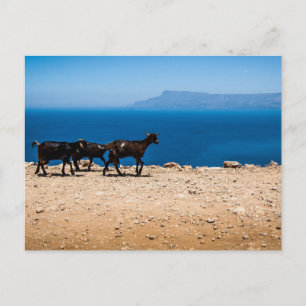 Kreta 8 vykort