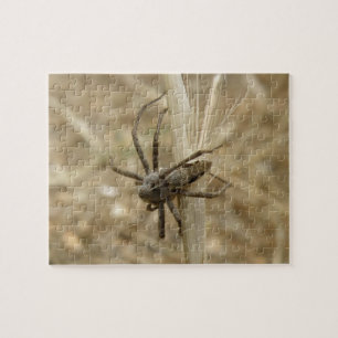 Kreta krämspider Pussel