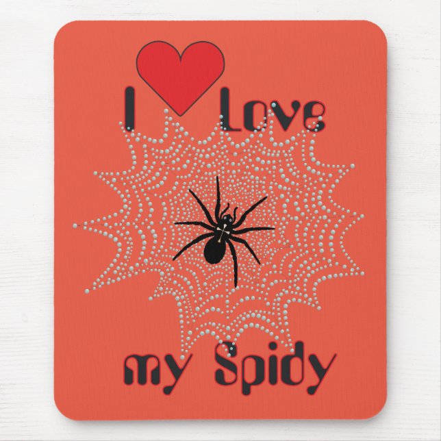 Kreuzspinne im Netz Musmatta (Framsidan)