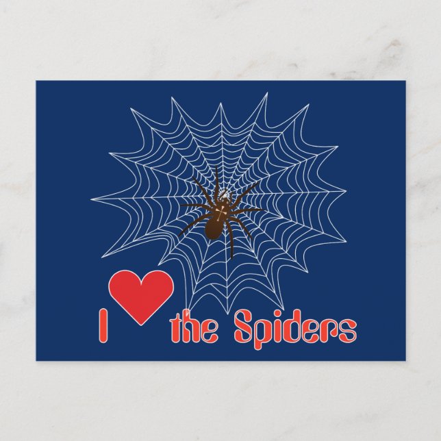 Kreuzspinne im Netz Vykort (Framsida)