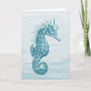 krickaseahorse kort