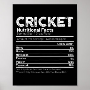 Kricketspelarepresent För Män Poster