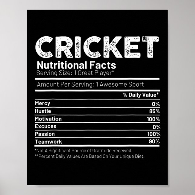 Kricketspelarepresent För Män Poster (Framsidan)