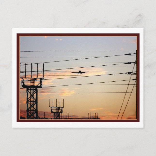 Krig Bird Vykort (Framsida)