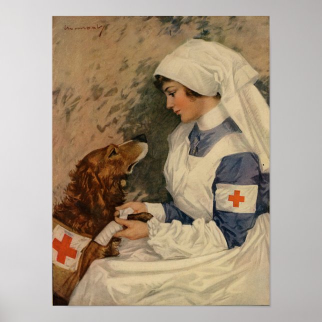 Krig Nurse med Golden Retriever 1917 WW1 Poster (Framsidan)