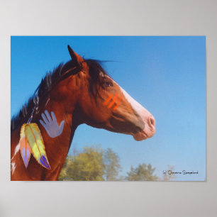 Krig pony Paint Häst Feathers Poster