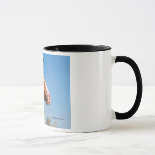 Krig Pony Paint Horse Feathers Mugg