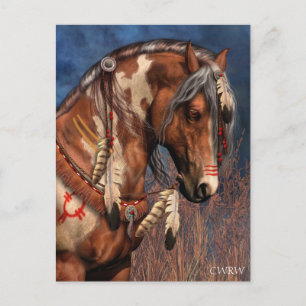 Krig Pony-vykort Vykort