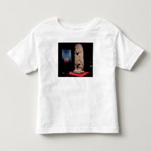 Krigare från den Toltec kulturen Tee Shirt