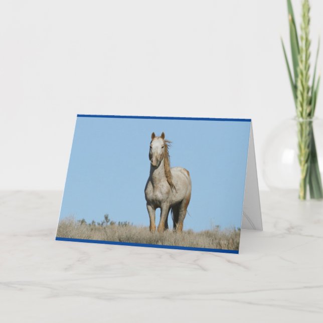 "Krigsöverste" hälsningskort Kort (Framsida)