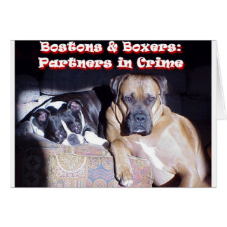 Kriminella partner hälsningskort