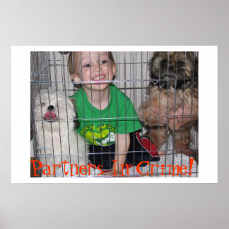 Kriminella partner! poster