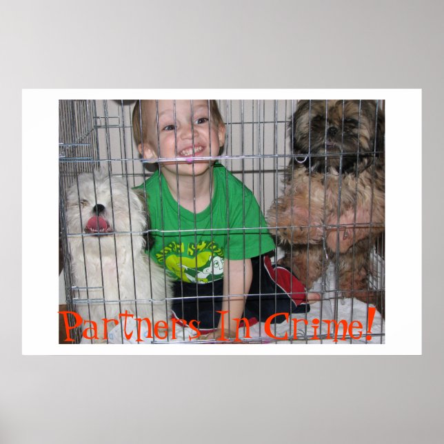 Kriminella partner! poster (Framsidan)