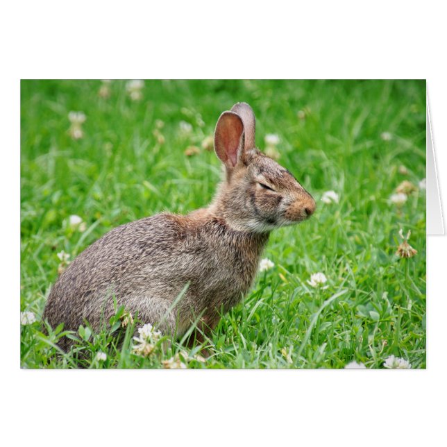 Kringe. Jag missade ditt födelsedagskort OBS Kort (Framsidan Horizontal)