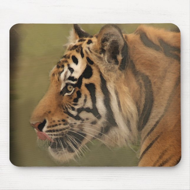 kringstrykande musmatta (Framsidan)