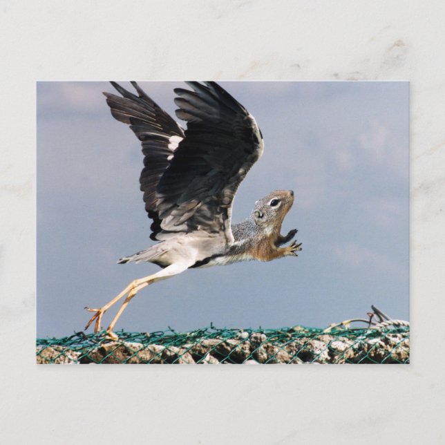 Kringutrustning Vykort (Framsida)