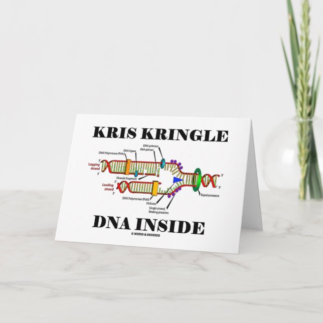 Kris Kringle DNA-insida (DNA-replicationen) Helgkort (Framsida)