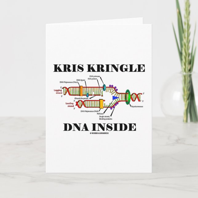 Kris Kringle DNA-insida (DNA-replicationen) Helgkort (Framsida)