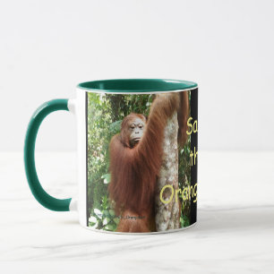 Krista Orangutan därefter och nu Mugg