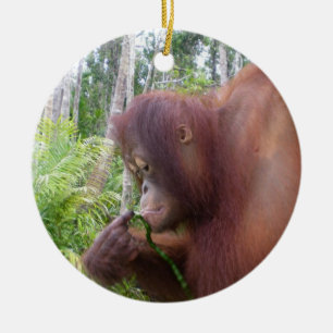 Krista Orangutan i Borneo Julgransprydnad Keramik