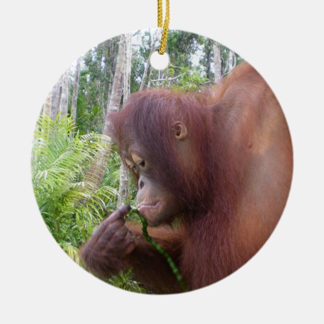 Krista Orangutan i Borneo Julgransprydnad Keramik (Framsidan)