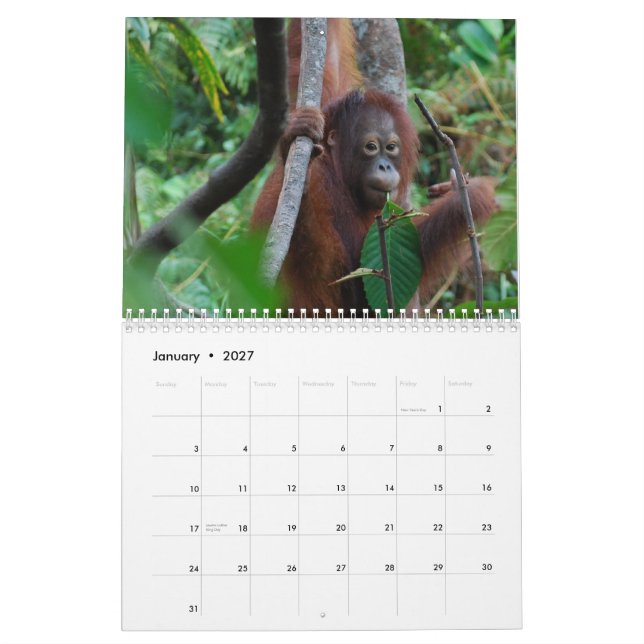 Krista välgörenheten 2013 för kalender (Jan 2027)