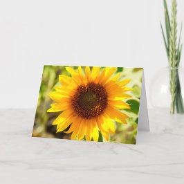 Kristen för citationstecken för solrosmors tack kort