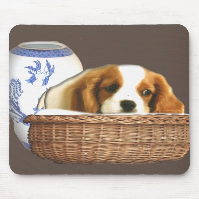 kristen musmatta (Framsidan)