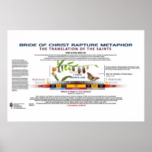 Kristi Bride Metamorfos Poster