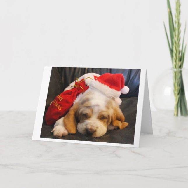 Kristmas-kort Basset-hundvalp Helgkort (Framsida)
