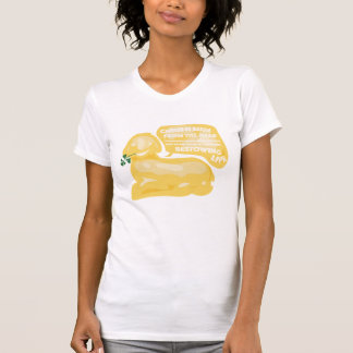 KRISTUS ÄR DEN UPPSTIGNA roliga smörlambt-skjortan T Shirt