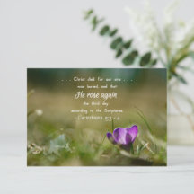 Kristus Ro igen Crocus Card