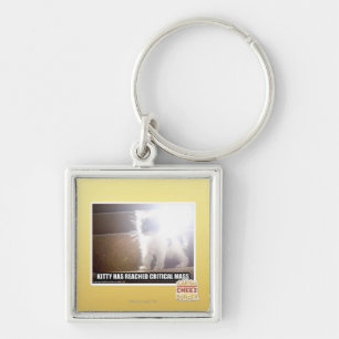 Kritiskt samlas kattunge fyrkantig silverfärgad nyckelring