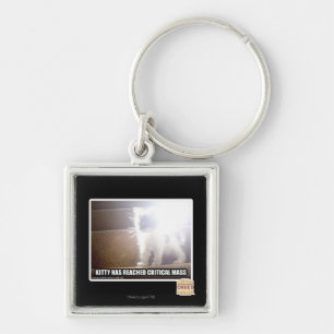Kritiskt samlas kattunge fyrkantig silverfärgad nyckelring