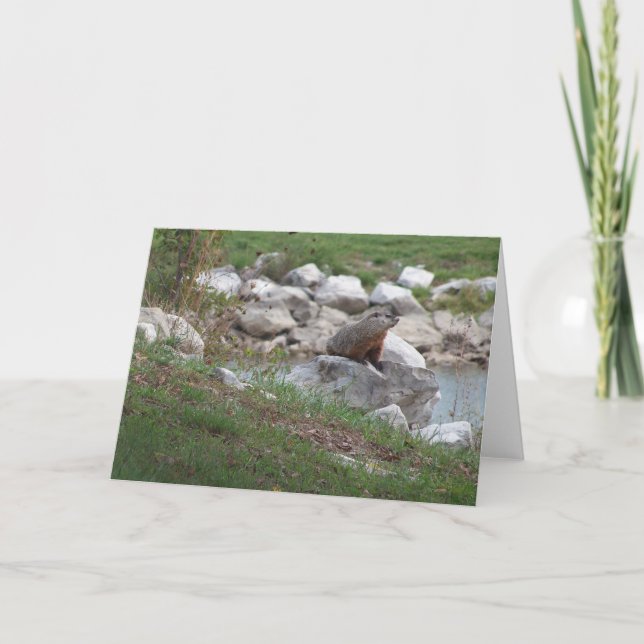 Kritor vid Sjö Kort (Framsida)