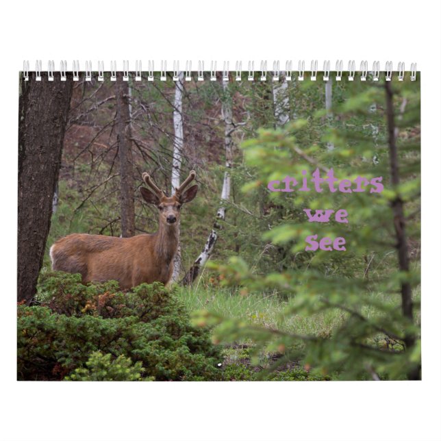 Kritörer vi ser  kalender (Omslag)