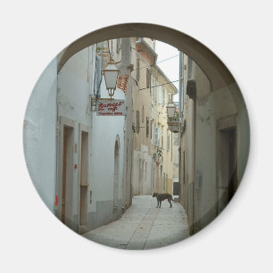 Krk Magnet