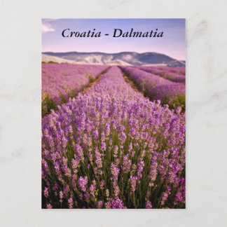 Kroatien - Dalmatien Vykort