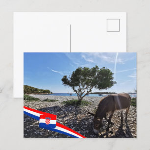 Kroatien Hrvatska Adriatiska havet Donkey Vykort