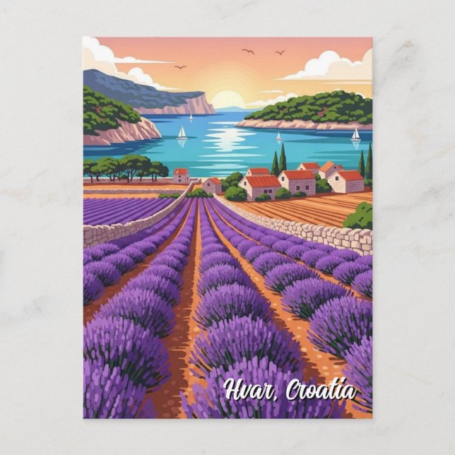 Kroatien Hvar Lavendelfält Vykort (Framsida)